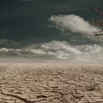 The Impact of Climate Change on Infectious Diseases