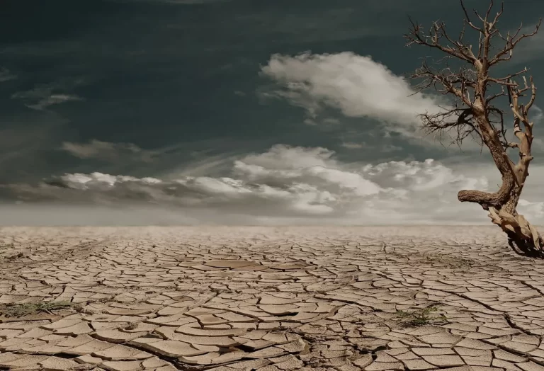 The Impact of Climate Change on Infectious Diseases