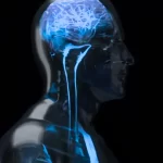 Recent Breakthrough Links Stress to a Secret Nerve in Your Body