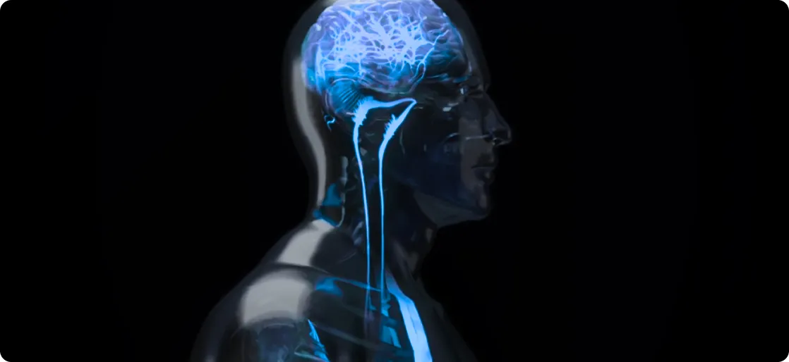 Recent Breakthrough Links Stress to a Secret Nerve in Your Body