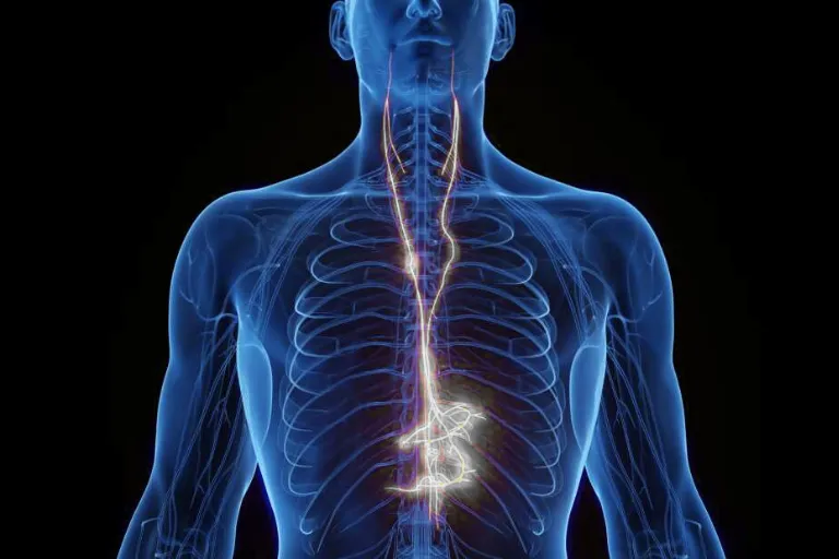 The Vagus Nerve: Role, Dysfunction, and Evidence-Based Stimulation Methods