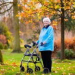 The Impact of Advanced Walkers on Mobility and Independence for the Elderly