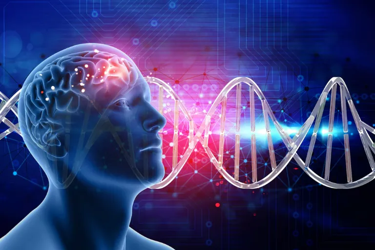 Genetic Factors in Mental Disorders: Exploring Their Impact
